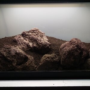 IMAG5357