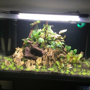 60erAquarium 2109 03