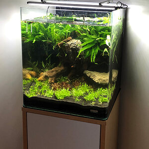 60l-nano-cube