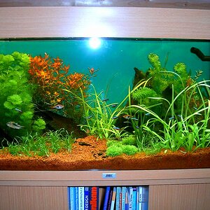 Update Aquarium