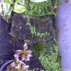 IMG 20191204 160129