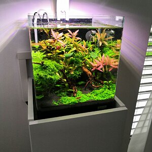 20 Liter Küchencube_6