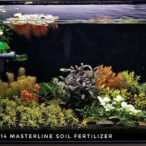 Masterline Soil Day 14 28.11.2020.jpg