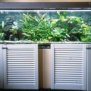 aquarium2 2002.jpg