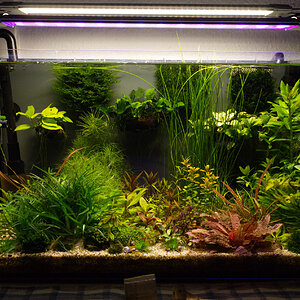 Aquarium.jpg