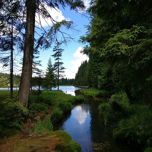 IMG_20170716_124931.jpg