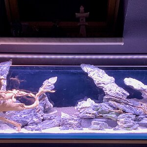 Medium 'IMG_0862.jpeg' im Album 'Aquarien von aqua203090'