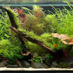 Medium '_DSC1173.jpg' in der Kategorie 'Example category'