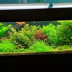 Medium 'IMG_20260324_205035.webp' in der Kategorie 'Example category'