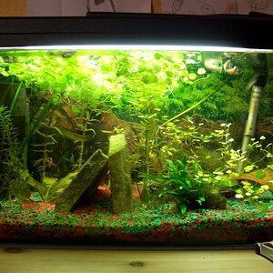 20w Aquaglo