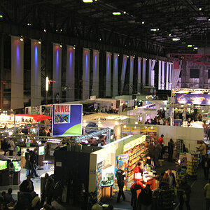 Zierfische & Aquarium Messe 08