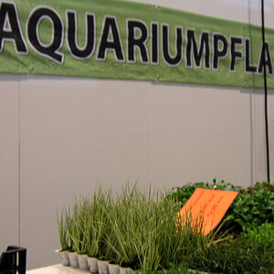 Zierfische & Aquarium Messe 08
