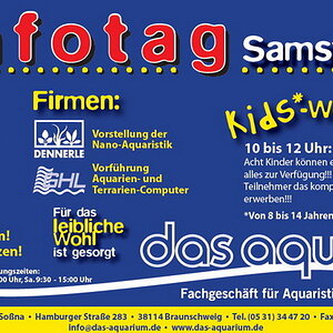 Das-aquarium