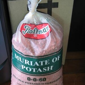 Muriateofpotash