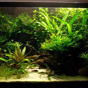 84 Liter Baustelle