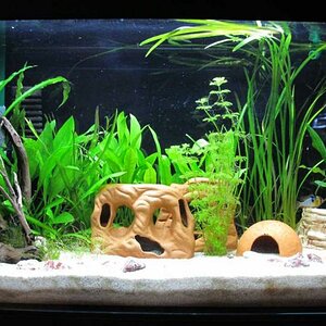 1.aquarium - 003