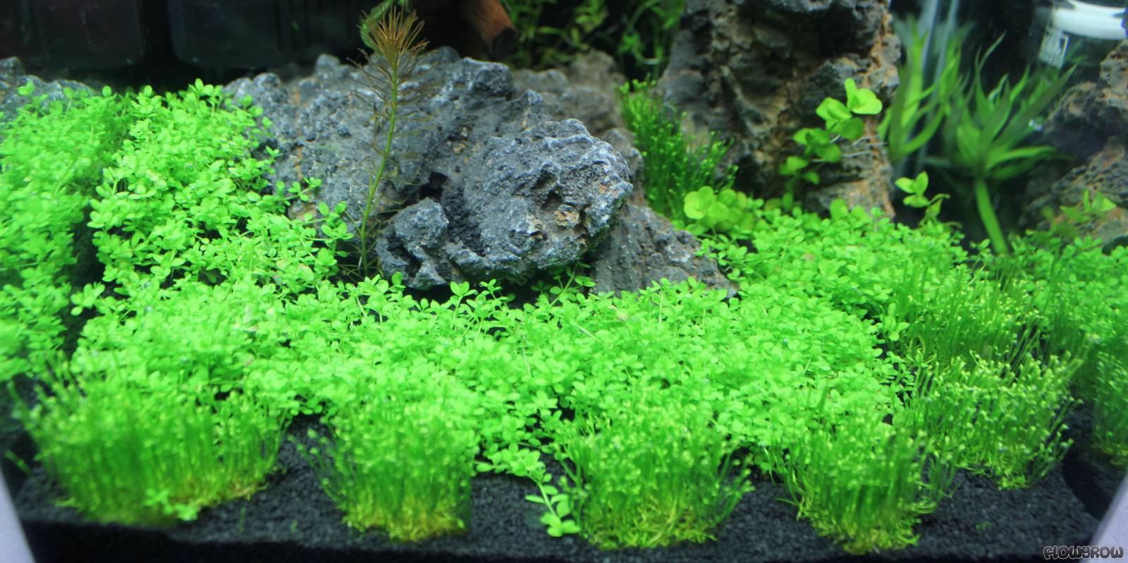 10l nano 5164774ee53db