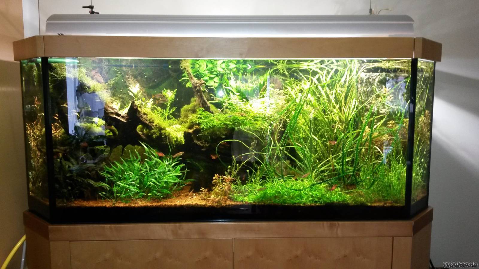 1200 l aquarium