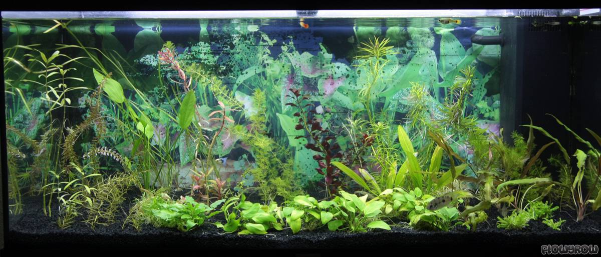 180l wohnzimmer 51560950f2c0d