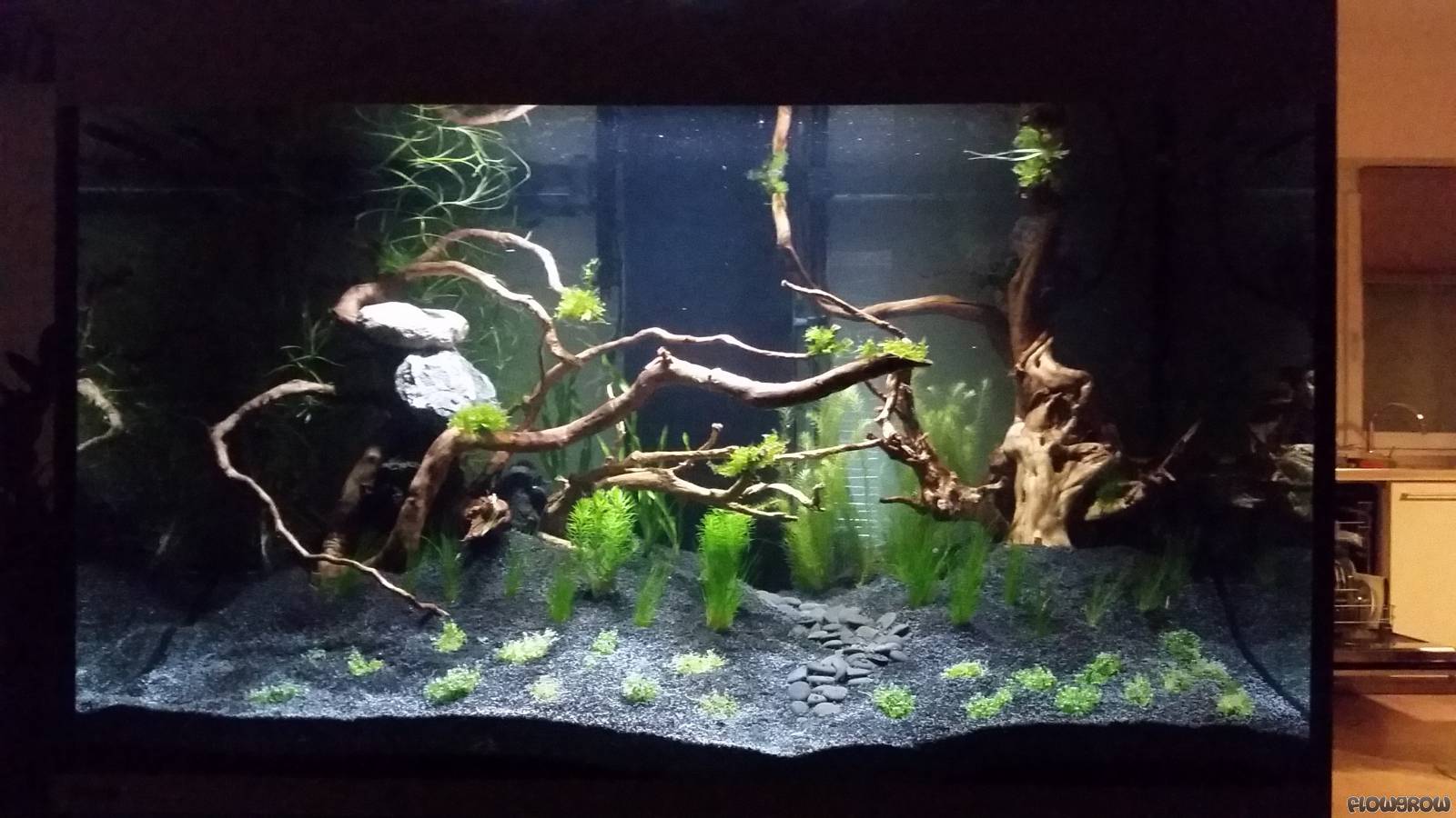 300l krauttumpel 58efe71ec52cf