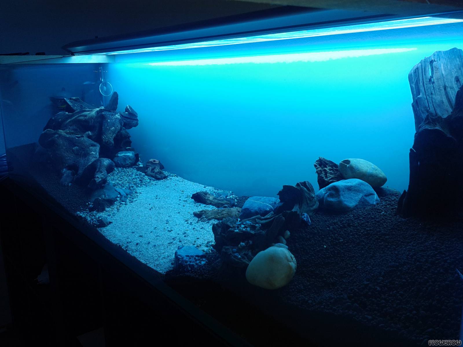 Amimitl Flowgrow Aquascape/AquarienDatenbank