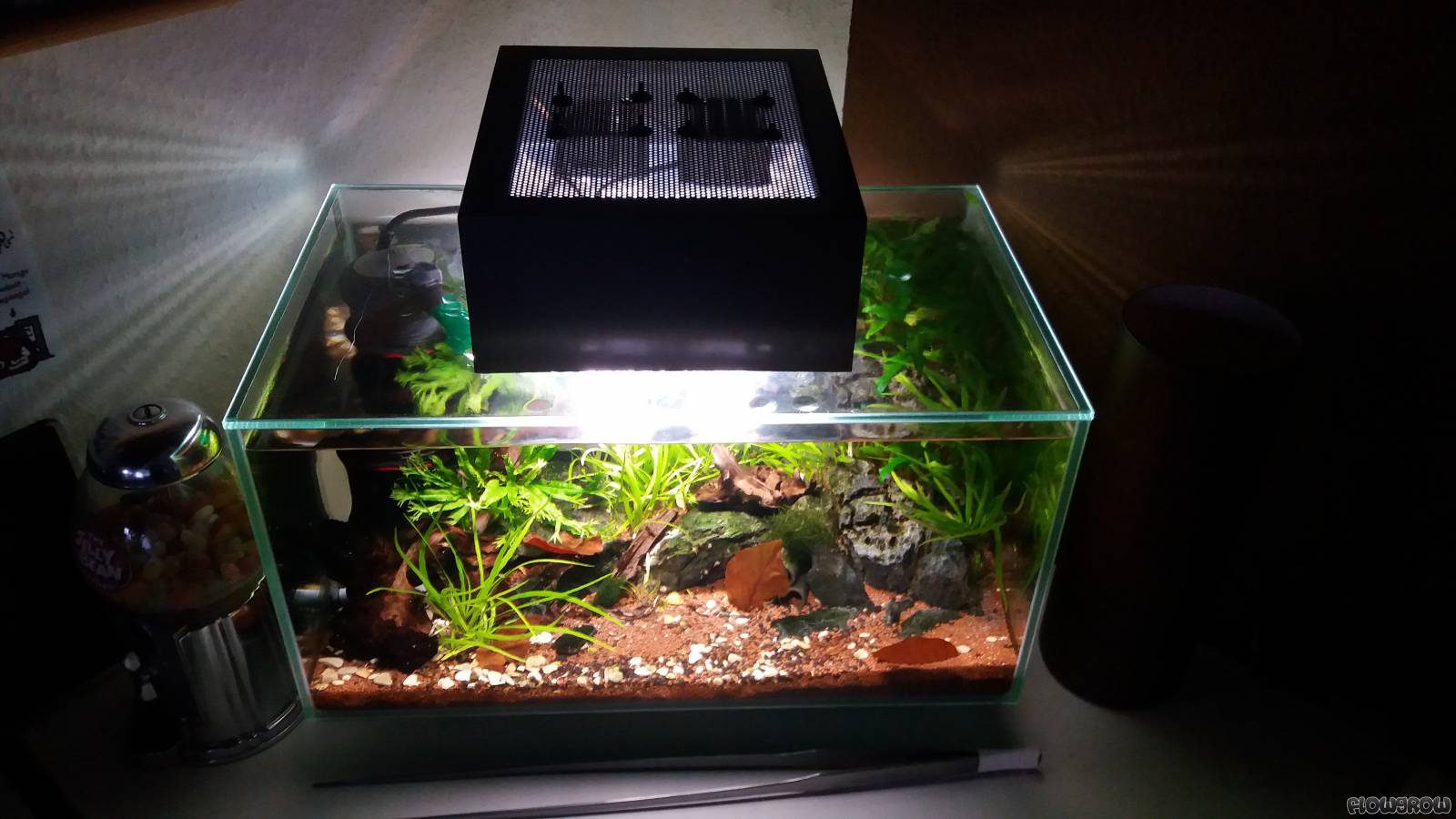 Fluval Edge modifiziert! Flowgrow Aquascape/AquarienDatenbank