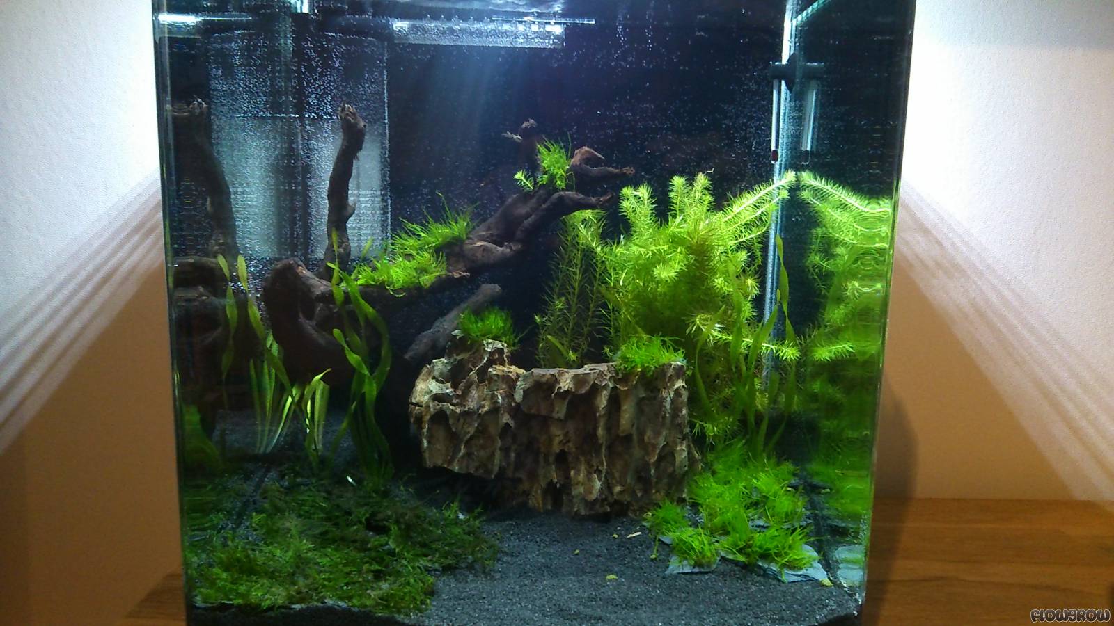 Nano Silvae - Flowgrow Aquascape/Aquarien-Datenbank