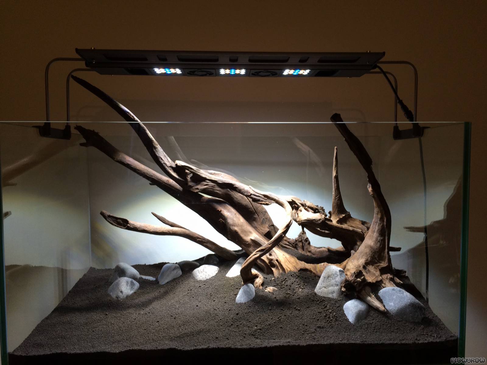 Wooden Sanctuary Flowgrow Aquascape/AquarienDatenbank