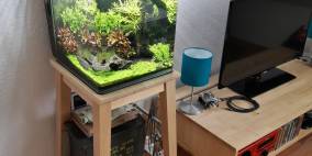 30l Nano Cube - Flowgrow Aquascape/Aquarien-Datenbank