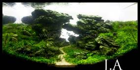 Across Iceland - Flowgrow Aquascape/Aquarien-Datenbank