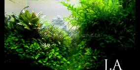 Breathing - Flowgrow Aquascape/Aquarien-Datenbank