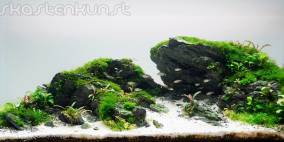 Broken Scenery - Flowgrow Aquascape/Aquarien-Datenbank