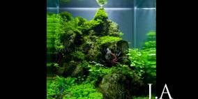 Circle of Life - Flowgrow Aquascape/Aquarien-Datenbank