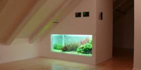 Das Dachboden-Aquarium - Flowgrow Aquascape/Aquarien-Datenbank