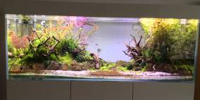 Delta 400 - Flowgrow Aquascape/Aquarien-Datenbank