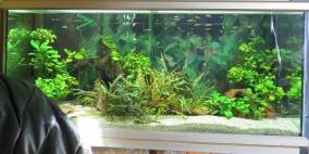 Ehemaliges Becken (jetzt stillgelegt da leck geschlagen) - Flowgrow Aquascape/Aquarien-Datenbank