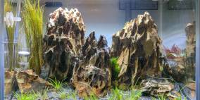 Ein My kleiner - Flowgrow Aquascape/Aquarien-Datenbank