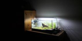 Erster Aquascapingversuch 54l - Flowgrow Aquascape/Aquarien-Datenbank