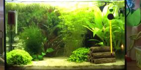 F.G. 25l - Flowgrow Aquascape/Aquarien-Datenbank