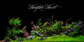 Fairytale Forest - Flowgrow Aquascape/Aquarien-Datenbank