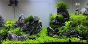 Garden Valley - Flowgrow Aquascape/Aquarien-Datenbank