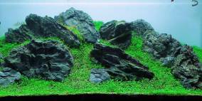 Grey Rocks - Flowgrow Aquascape/Aquarien-Datenbank