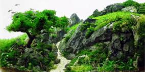 Hiking Tour - Flowgrow Aquascape/Aquarien-Datenbank