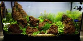 Holy Lava - Flowgrow Aquascape/Aquarien-Datenbank