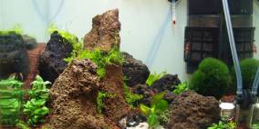 Island Feeling - Flowgrow Aquascape/Aquarien-Datenbank