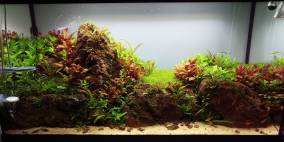 Lava Cliff - Flowgrow Aquascape/Aquarien-Datenbank