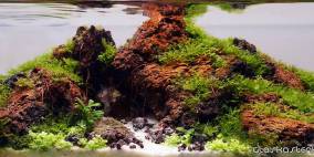 Little Big - Flowgrow Aquascape/Aquarien-Datenbank