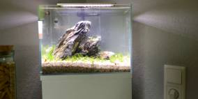 Little Stone - Flowgrow Aquascape/Aquarien-Datenbank