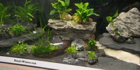 Miniatur Wunderland - Flowgrow Aquascape/Aquarien-Datenbank