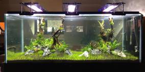 Moto-Top - Flowgrow Aquascape/Aquarien-Datenbank